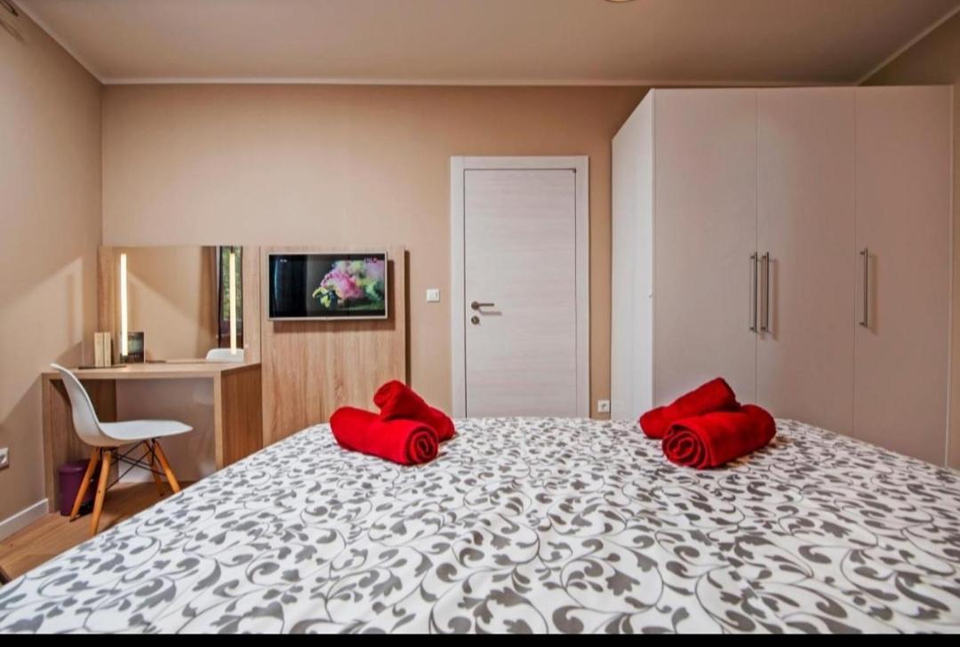 Your Panoss Rovinj Rom bilde